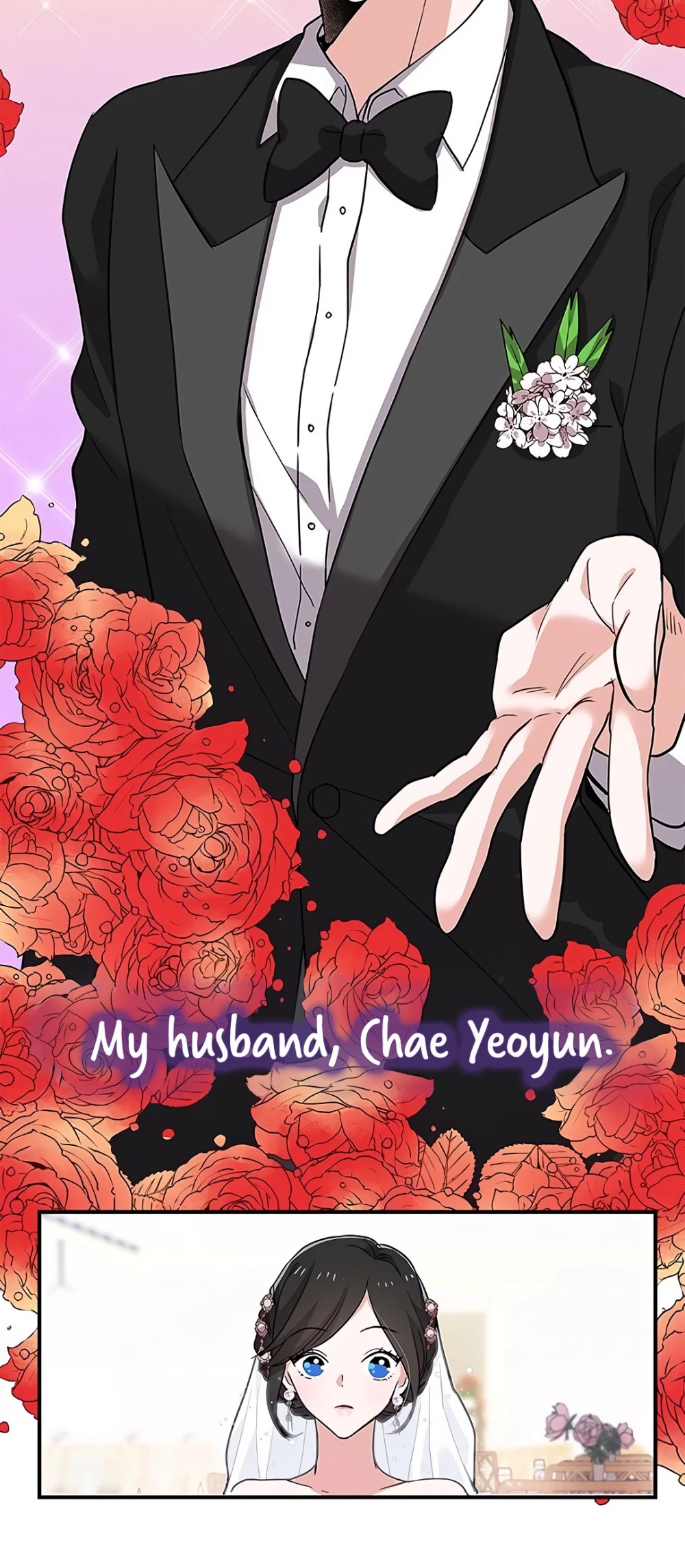 Please Save My Husband Chapter 1 page 17 - Chapter 1