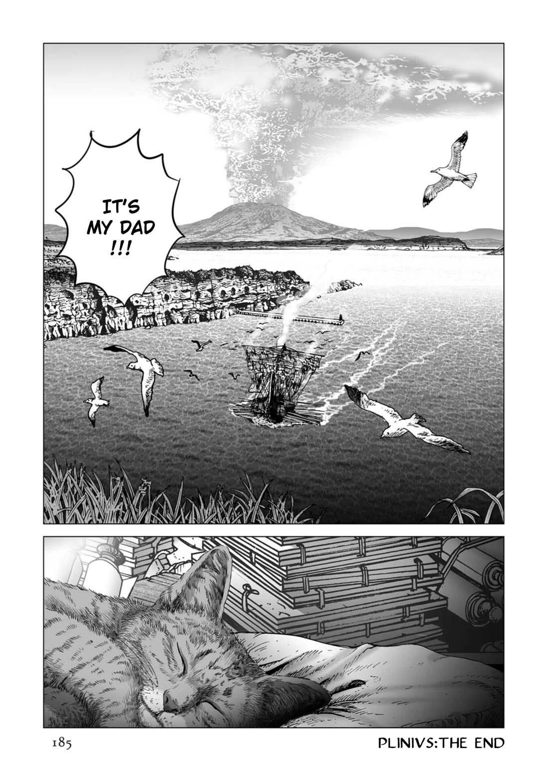 Plinivs Chapter 84 page 24 - Chapter 84: Terra [END]