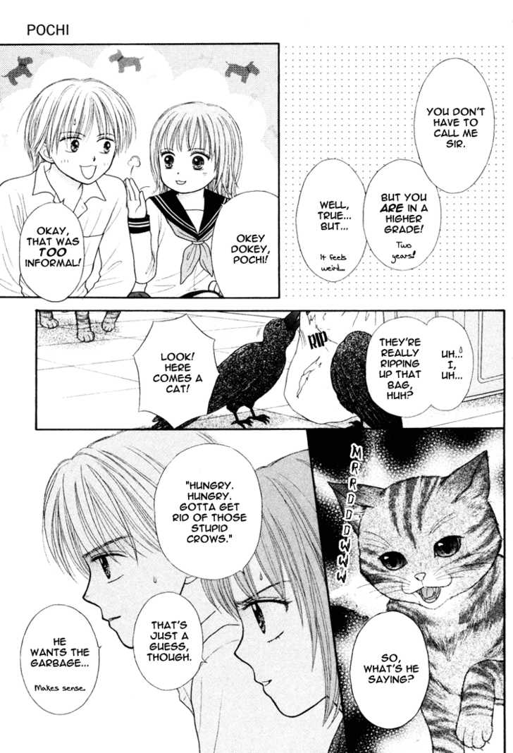 Pochi Chapter 1 page 22 - Chapter 1