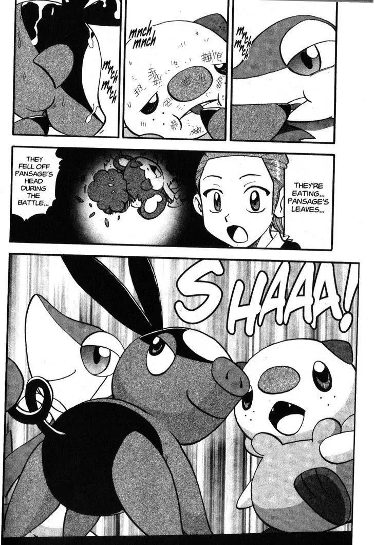 Pocket Monster Special Chapter 470 page 20 - Chapter 470: Their First Gym Battle