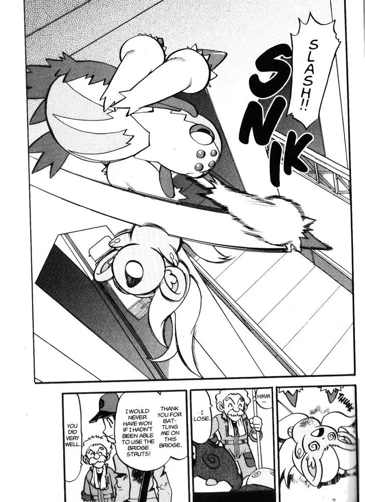 Pocket Monster Special Chapter 476 page 21 - Chapter 476: A Direct Attack and a Daunting Defense