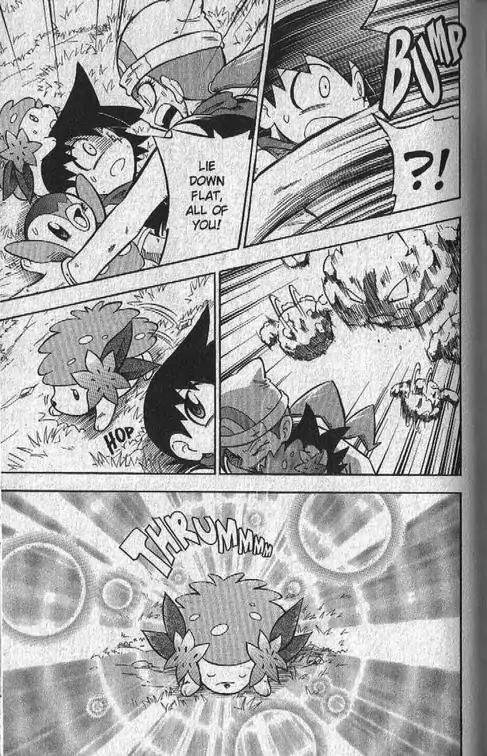 Pokemon DP Chapter 4.5 page 18 - Vol.4 Chapter 5: Pokemon DP Special--The Tale of Hareta and Shaymin