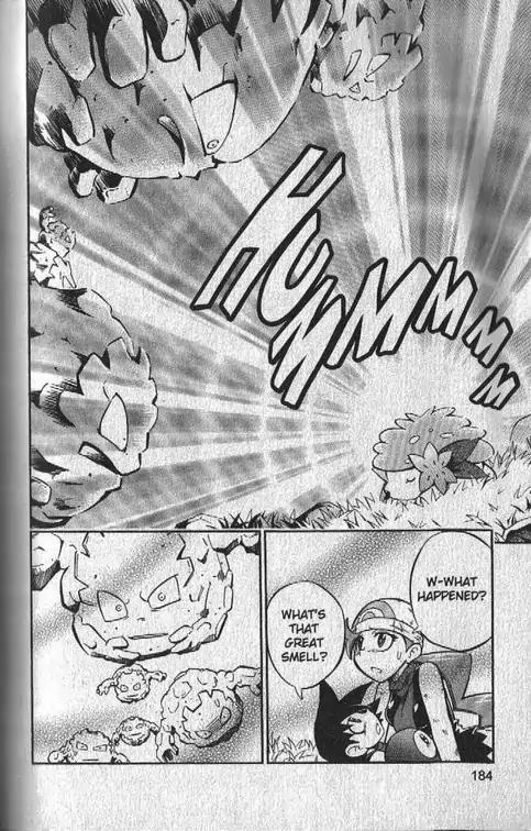Pokemon DP Chapter 4.5 page 19 - Vol.4 Chapter 5: Pokemon DP Special--The Tale of Hareta and Shaymin