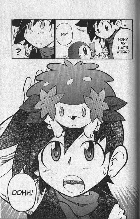 Pokemon DP Chapter 4.5 page 8 - Vol.4 Chapter 5: Pokemon DP Special--The Tale of Hareta and Shaymin