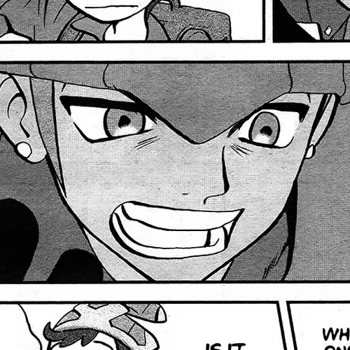 Pokémon SPECIAL Sword and Shield Chapter 12 cover
