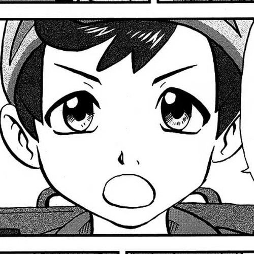 Pokémon SPECIAL Sword and Shield Chapter 13 cover