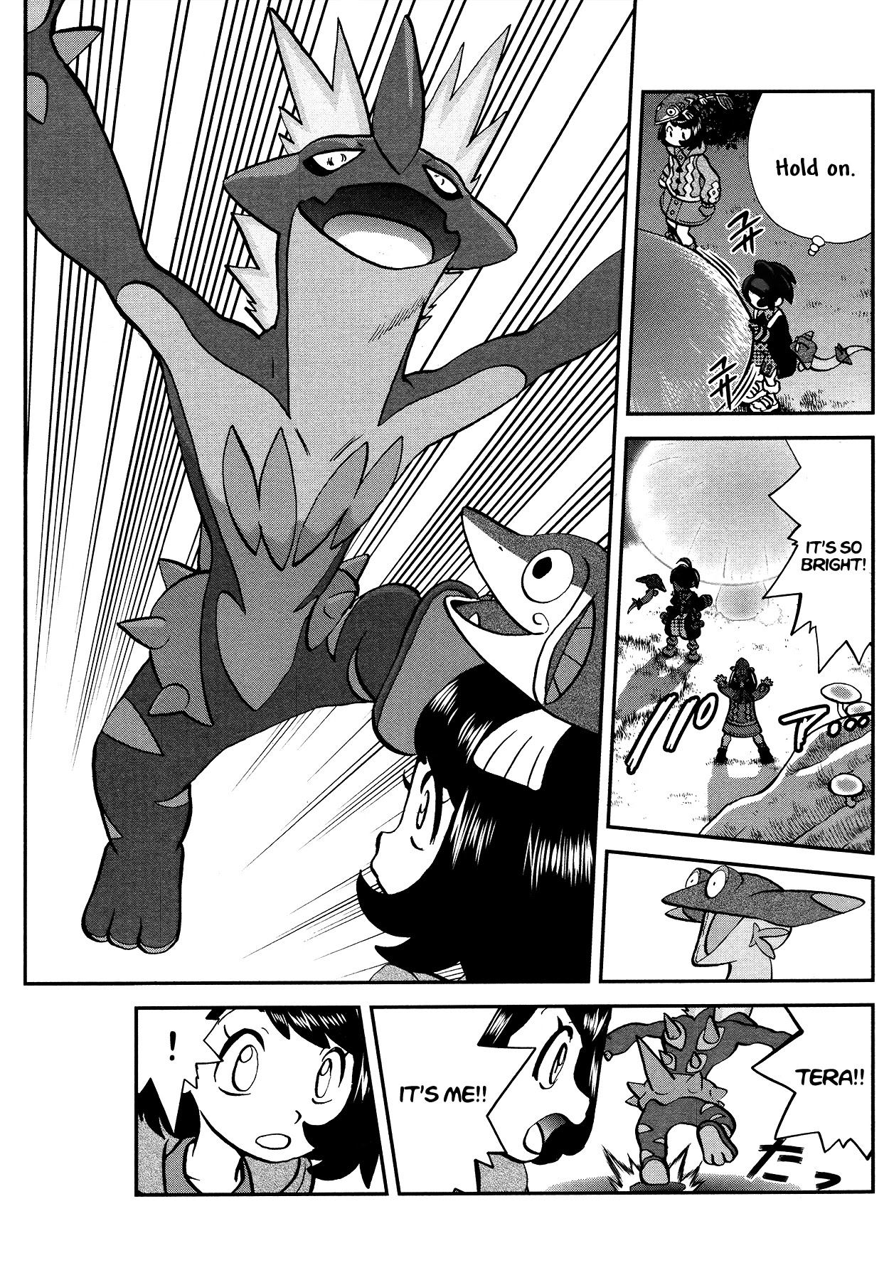 Pokémon SPECIAL Sword and Shield Chapter 15 page 14 - Chapter 15