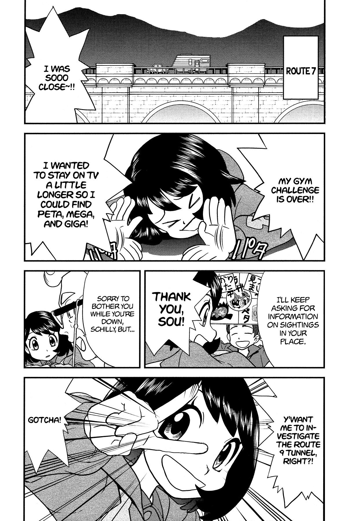 Pokémon SPECIAL Sword and Shield Chapter 18 page 10 - Chapter 18