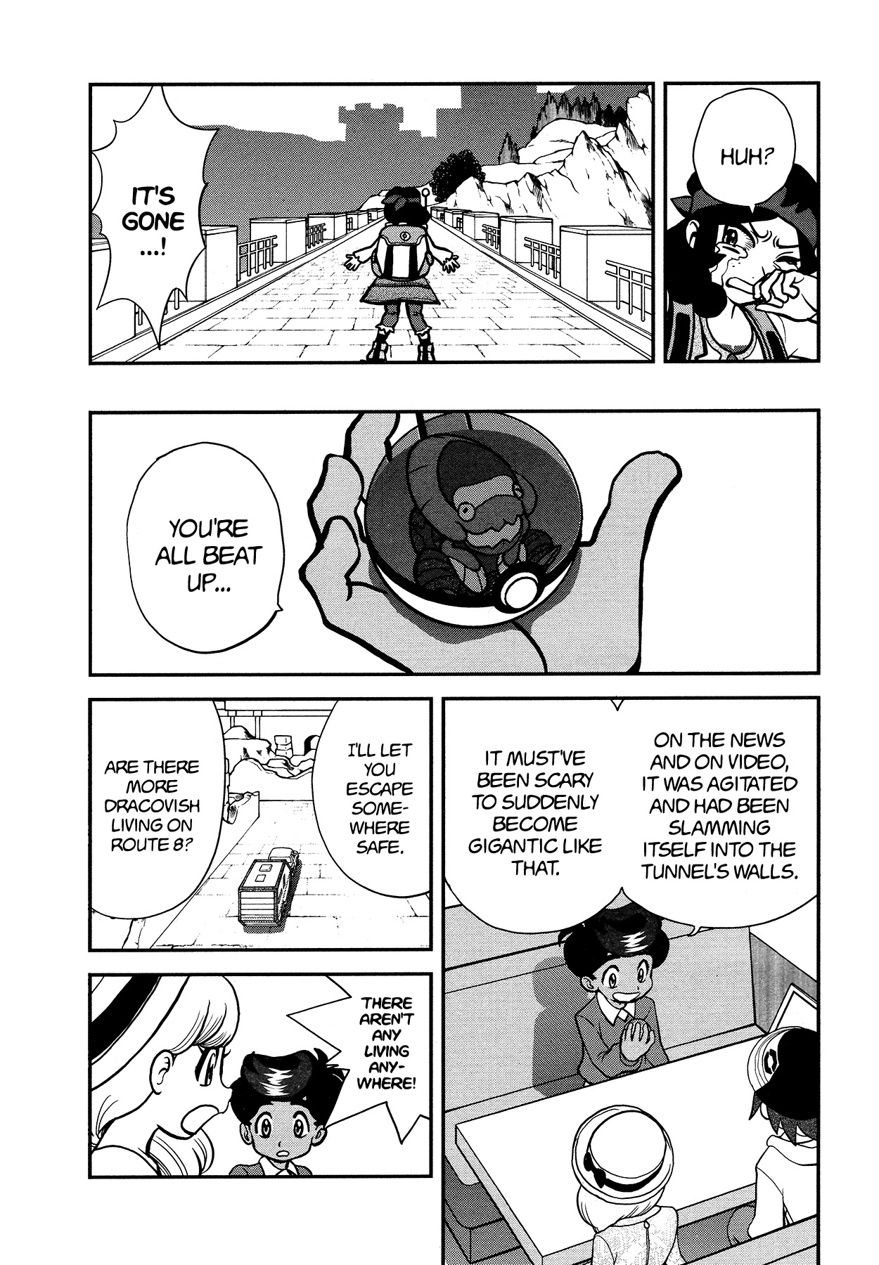 Pokémon SPECIAL Sword and Shield Chapter 18 page 17 - Chapter 18