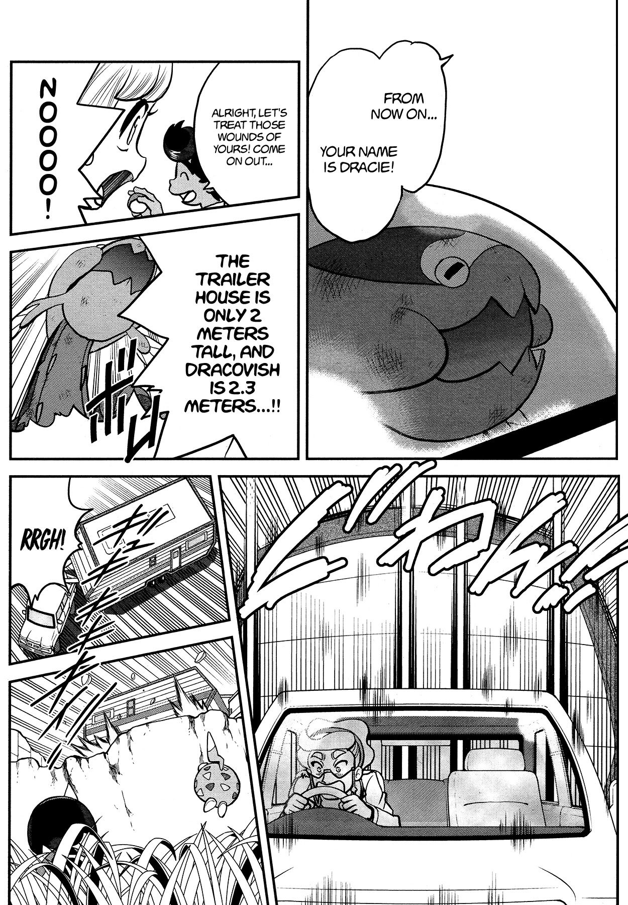 Pokémon SPECIAL Sword and Shield Chapter 18 page 20 - Chapter 18