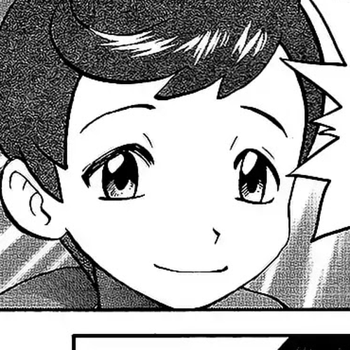 Pokémon SPECIAL Sword and Shield Chapter 2 cover