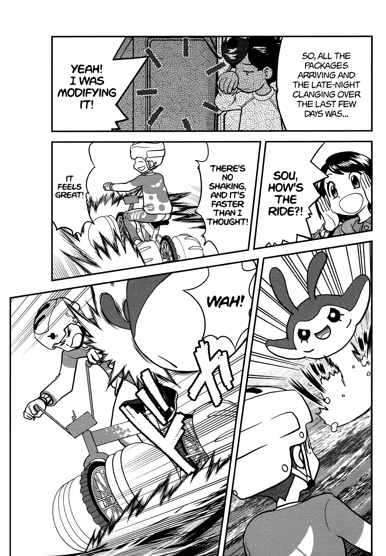 Pokémon SPECIAL Sword and Shield Chapter 21 page 17 - Chapter 21