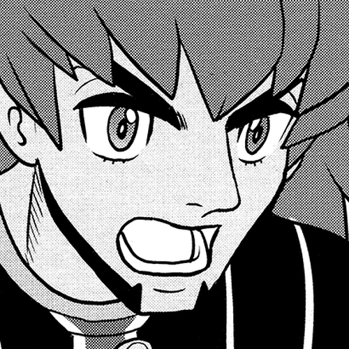 Pokémon SPECIAL Sword and Shield Chapter 24 cover