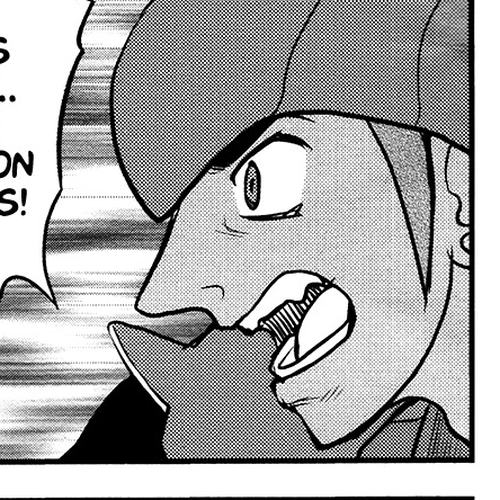 Pokémon SPECIAL Sword and Shield Chapter 26 cover