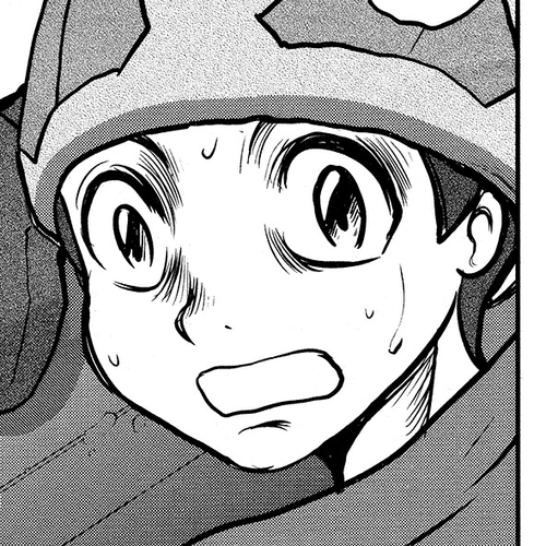 Pokémon SPECIAL Sword and Shield Chapter 28 cover