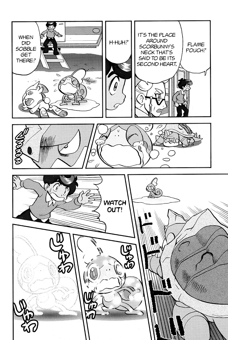 Pokémon SPECIAL Sword and Shield Chapter 3 page 19 - Chapter 3