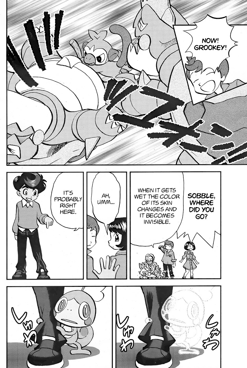 Pokémon SPECIAL Sword and Shield Chapter 3 page 21 - Chapter 3