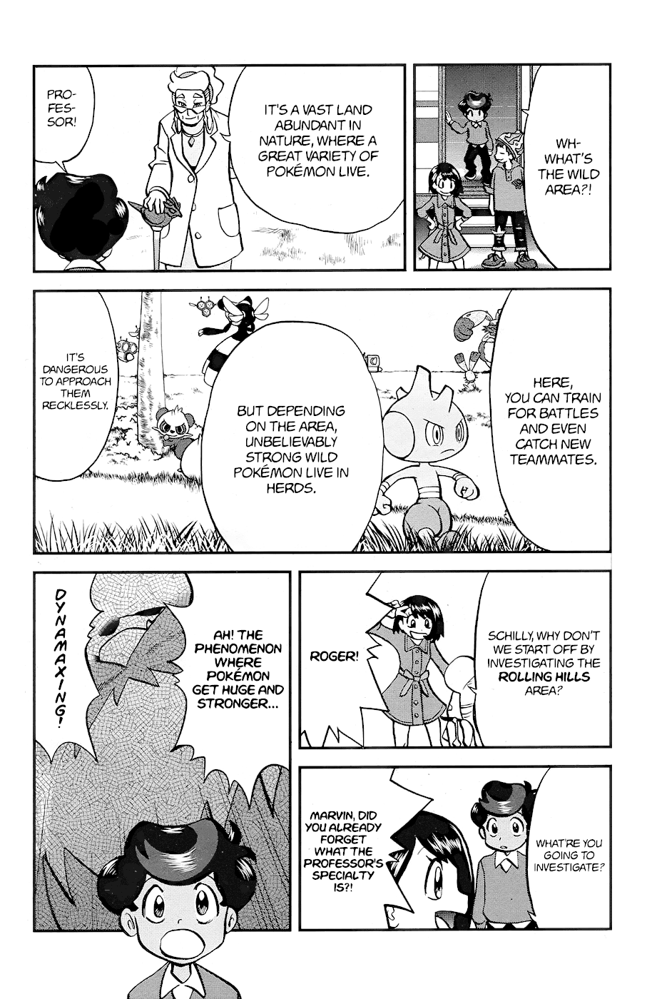 Pokémon SPECIAL Sword and Shield Chapter 4 page 3 - Chapter 4