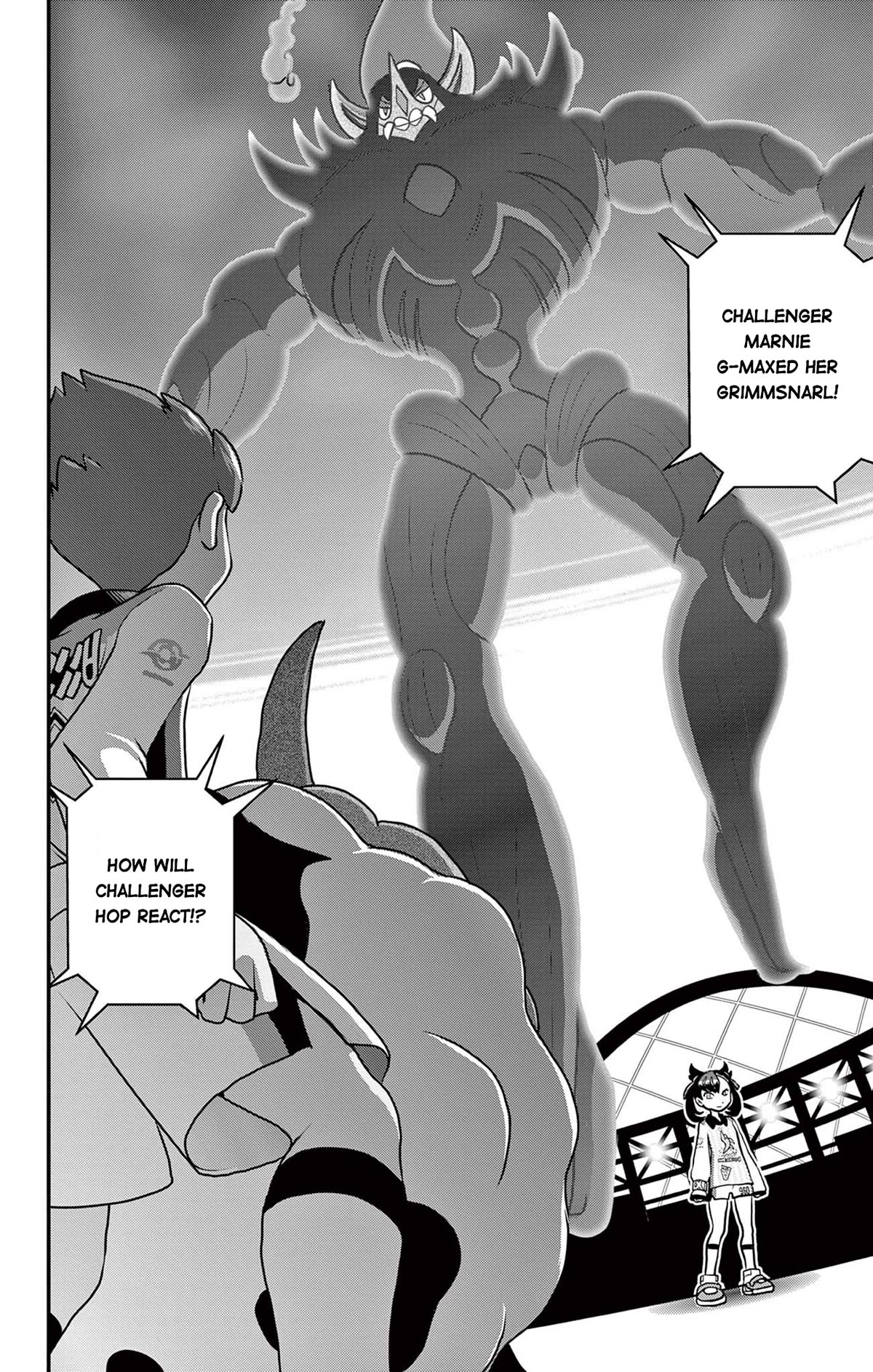 Pokémon SPECIAL Sword and Shield Chapter 43 page 21 - Chapter 43: A Warm Farewell to Galar!! [END]