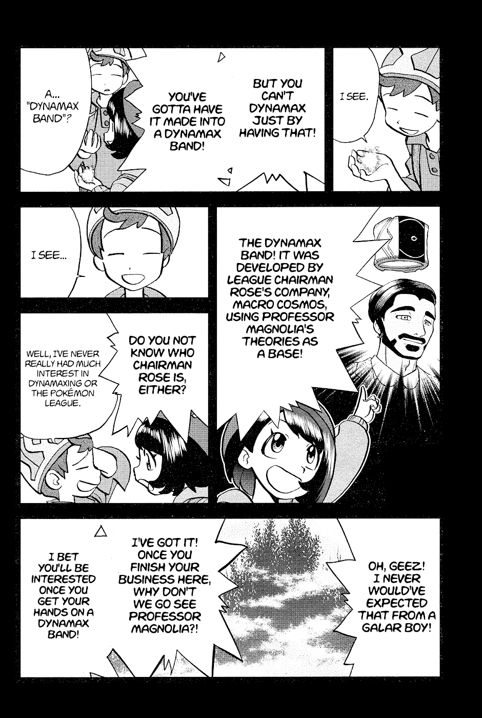 Pokémon SPECIAL Sword and Shield Chapter 5 page 10 - Chapter 5
