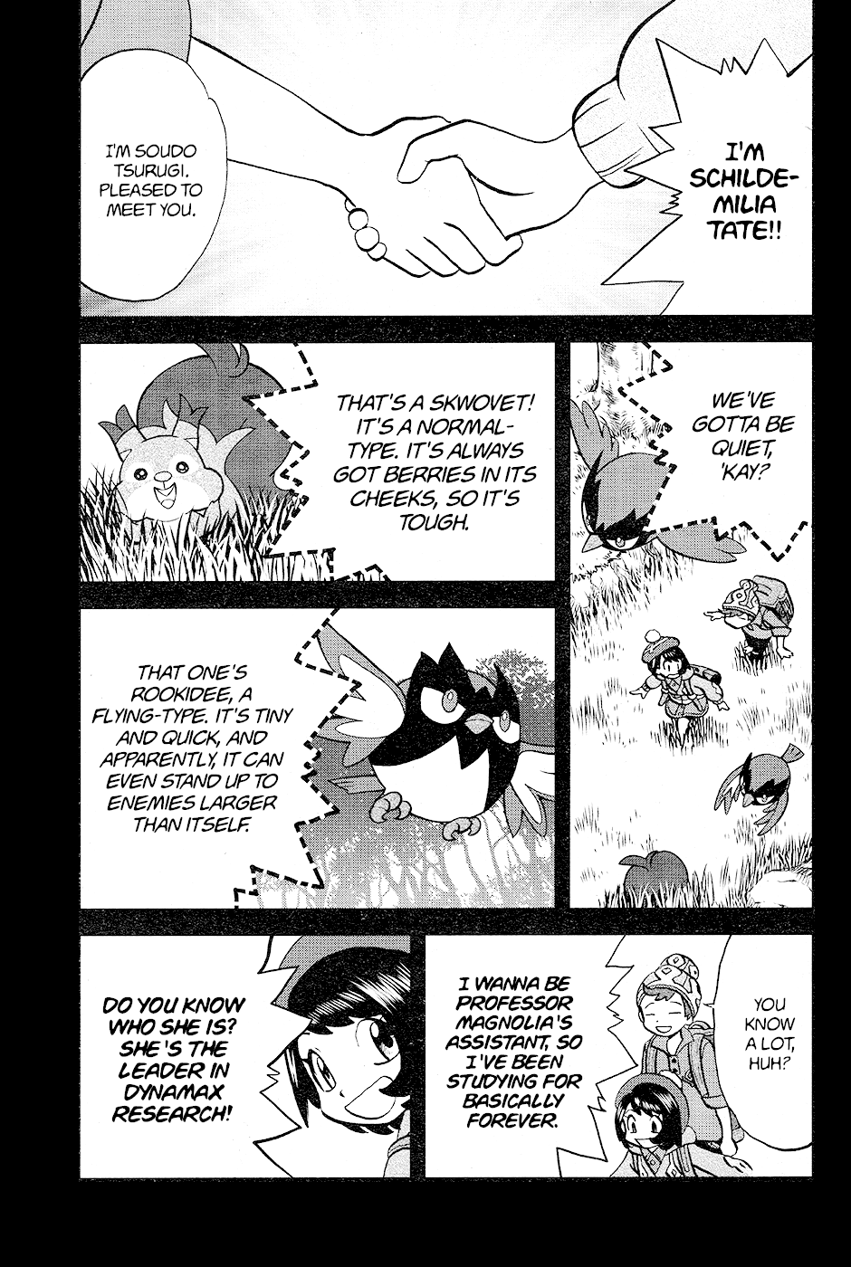 Pokémon SPECIAL Sword and Shield Chapter 5 page 7 - Chapter 5