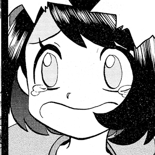Pokémon SPECIAL Sword and Shield Chapter 5 cover