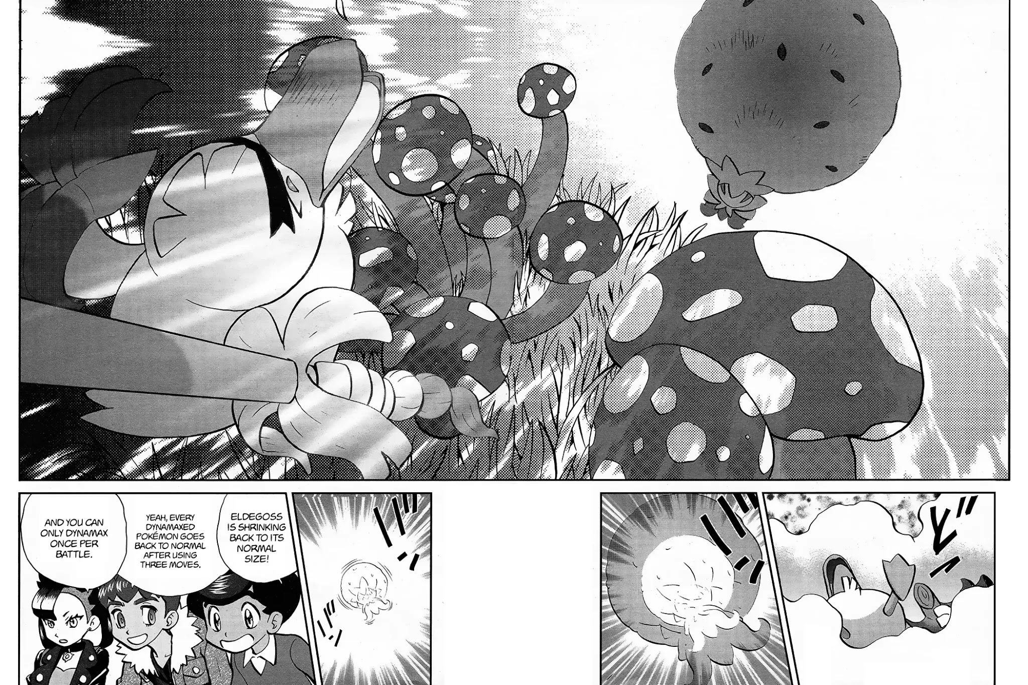 Pokémon SPECIAL Sword and Shield Chapter 7 page 12 - Chapter 7