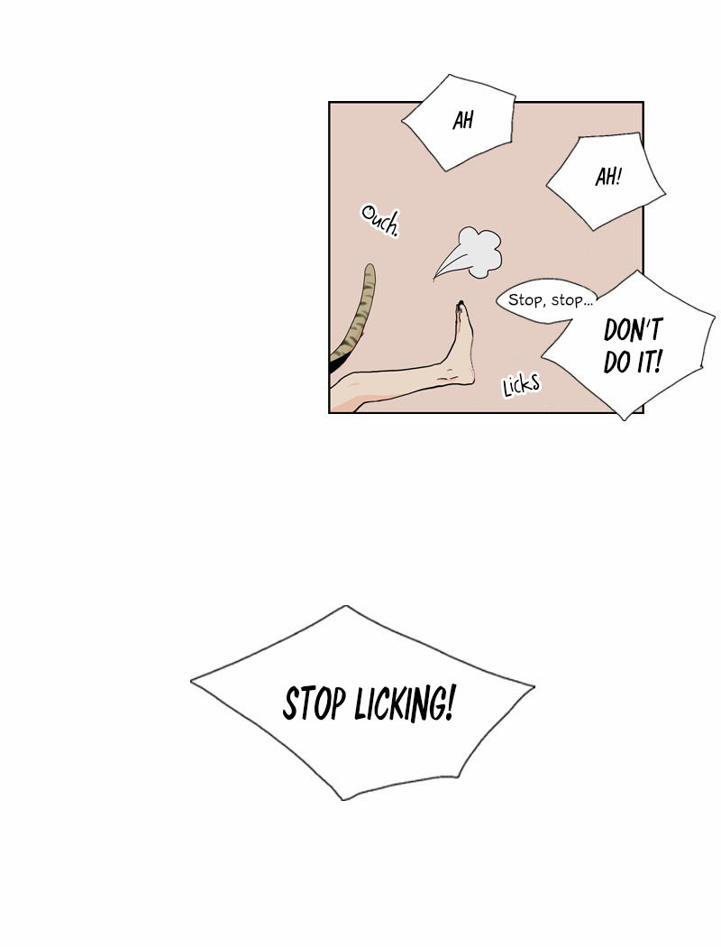 Prince of Prince Chapter 2 page 17 - Chapter 2