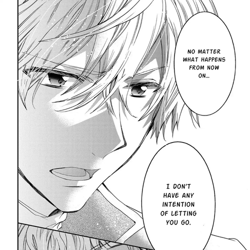 Princess Bibliophile Chapter 10 cover