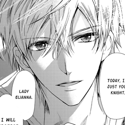 Princess Bibliophile Chapter 11 cover