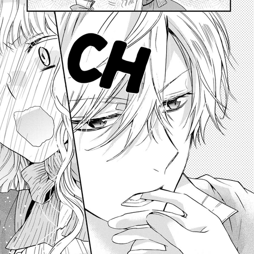 Princess Bibliophile Chapter 13 cover