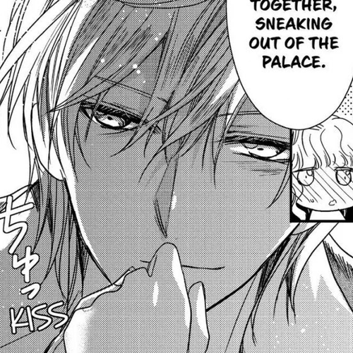 Princess Bibliophile Chapter 20.5: Afterword cover