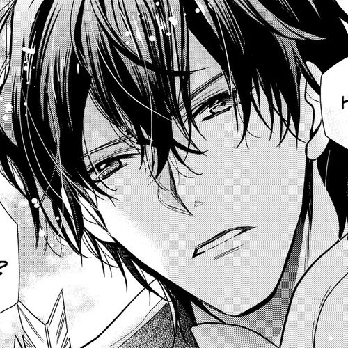 Princess Bibliophile Chapter 30 cover