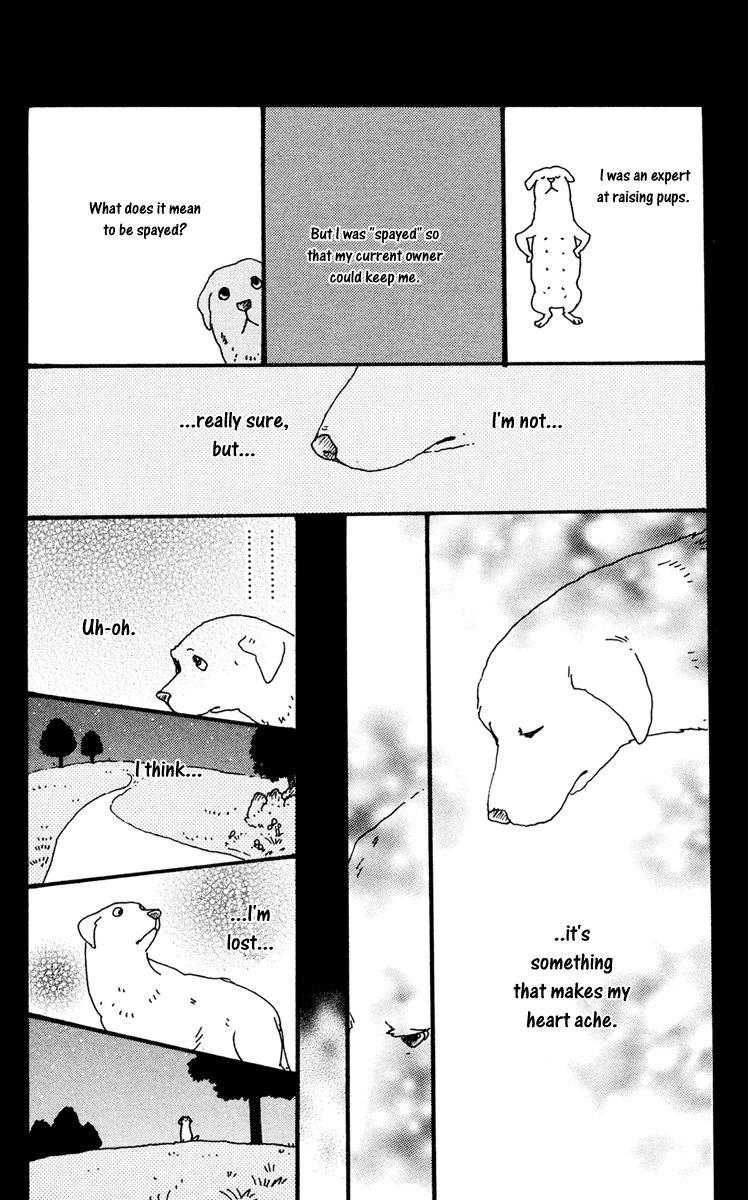 Principal Chapter 23 page 66 - Chapter 23