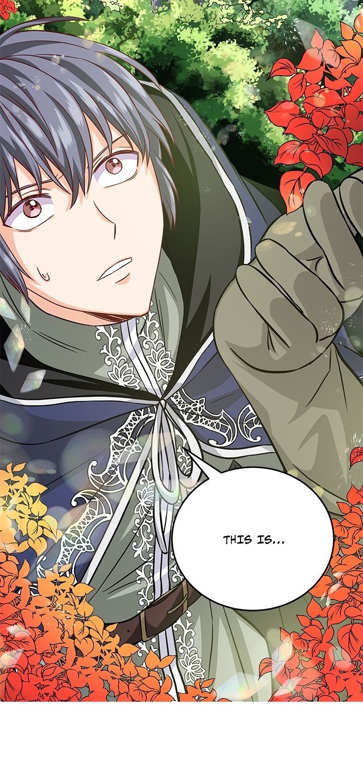 Priscilla's Marriage Request Chapter 33 page 5 - Chapter 33