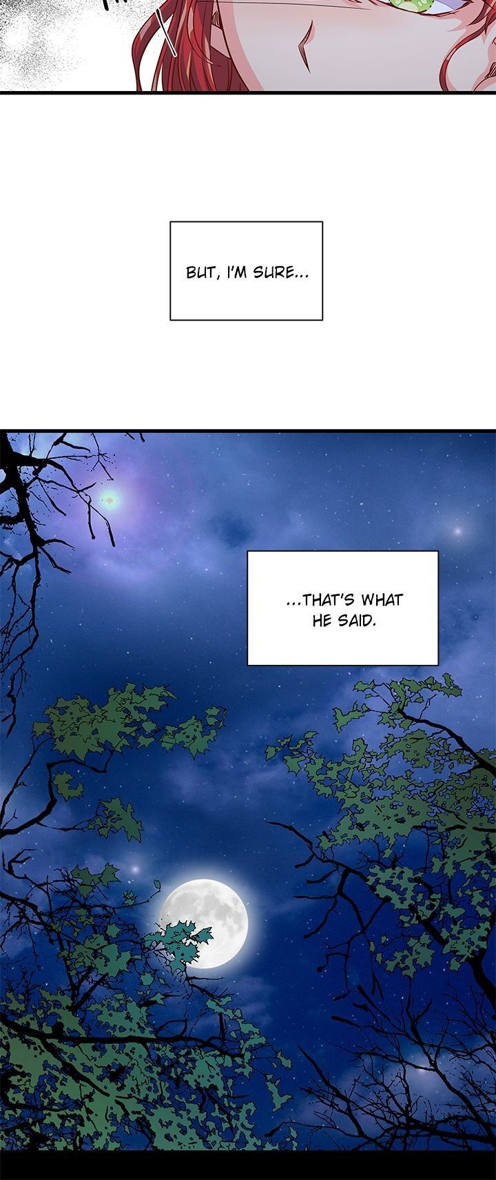 Priscilla's Marriage Request Chapter 36 page 25 - Chapter 36