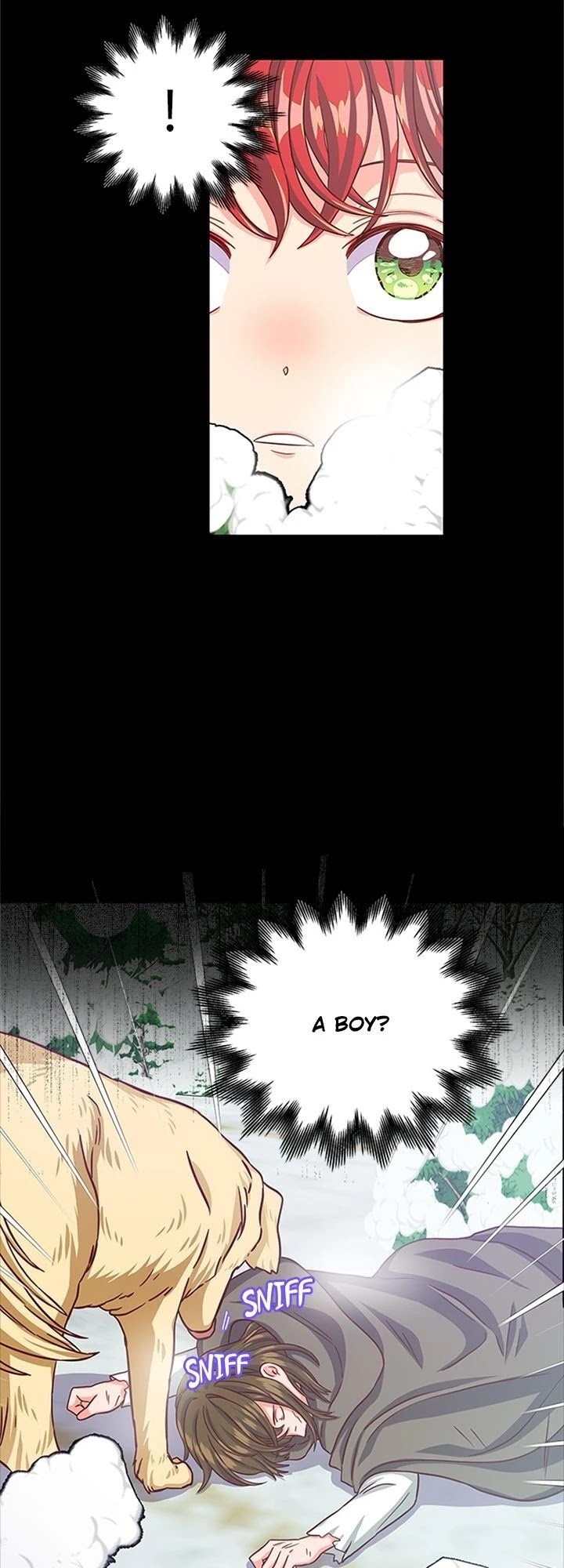 Priscilla's Marriage Request Chapter 85 page 28 - Chapter 85
