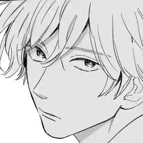 Promise Cinderella Chapter 12: Shield cover