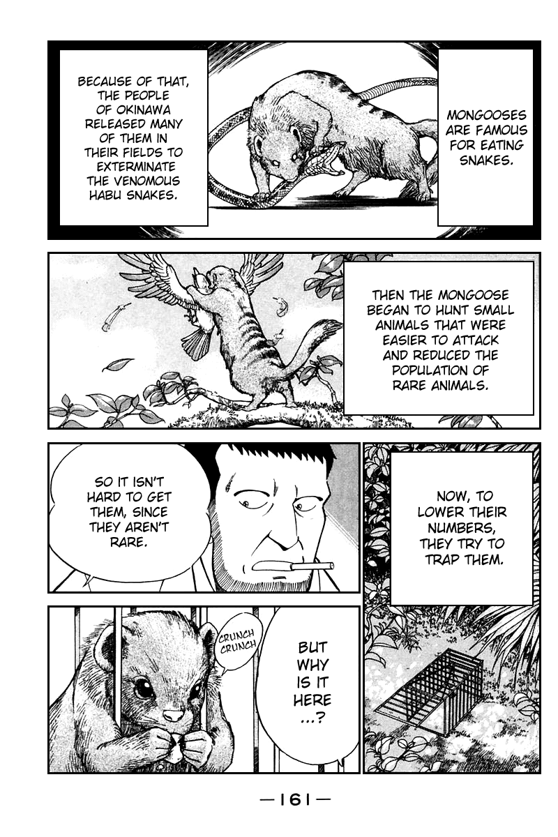 Q.E.D. - Shoumei Shuuryou Chapter 21.3 page 10 - Chapter 21.3: Winter Zoo (Part 3)