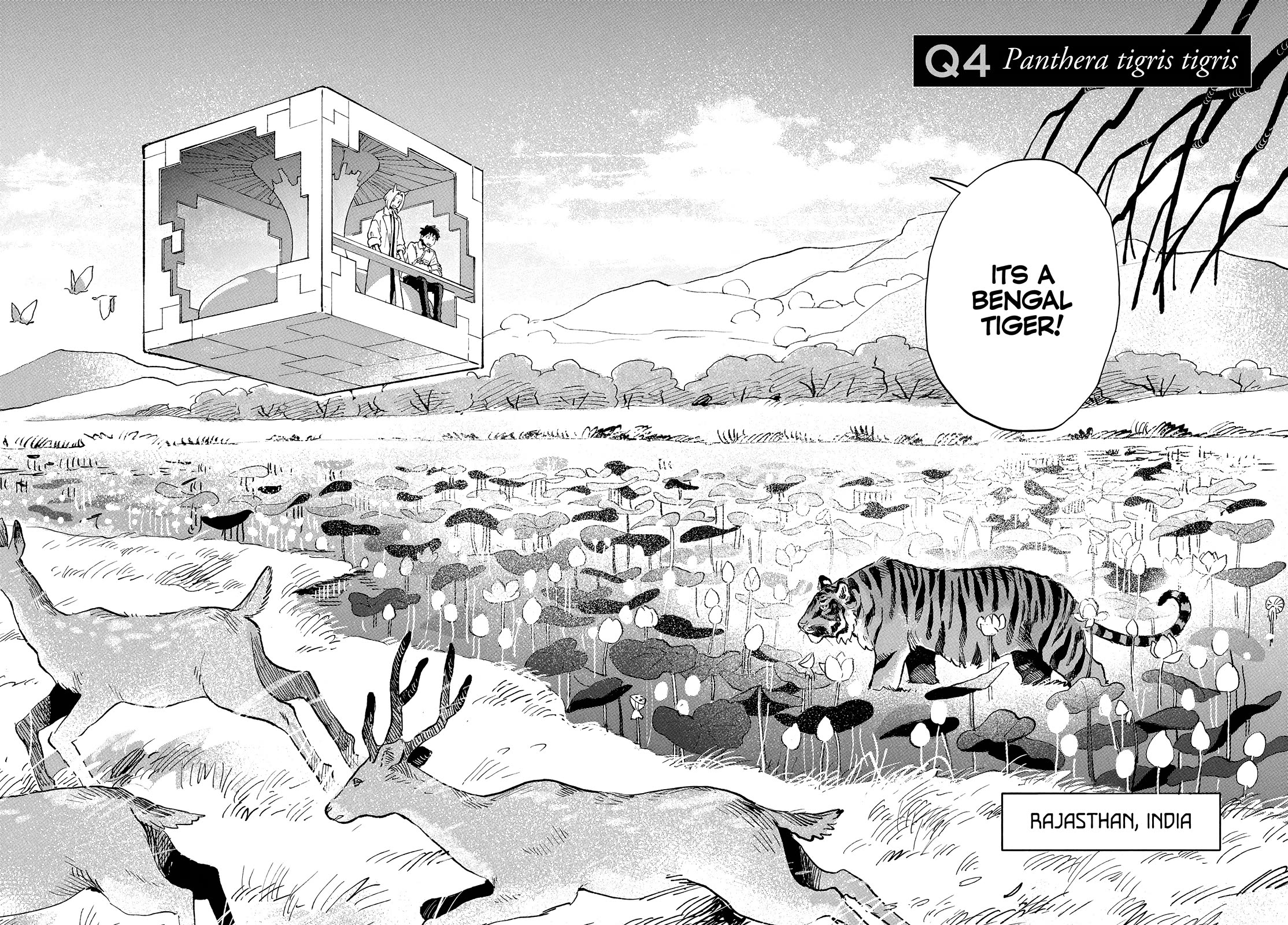 Q, What is Love? Chapter 4 page 2 - Chapter 4: Panthera tigris tigris