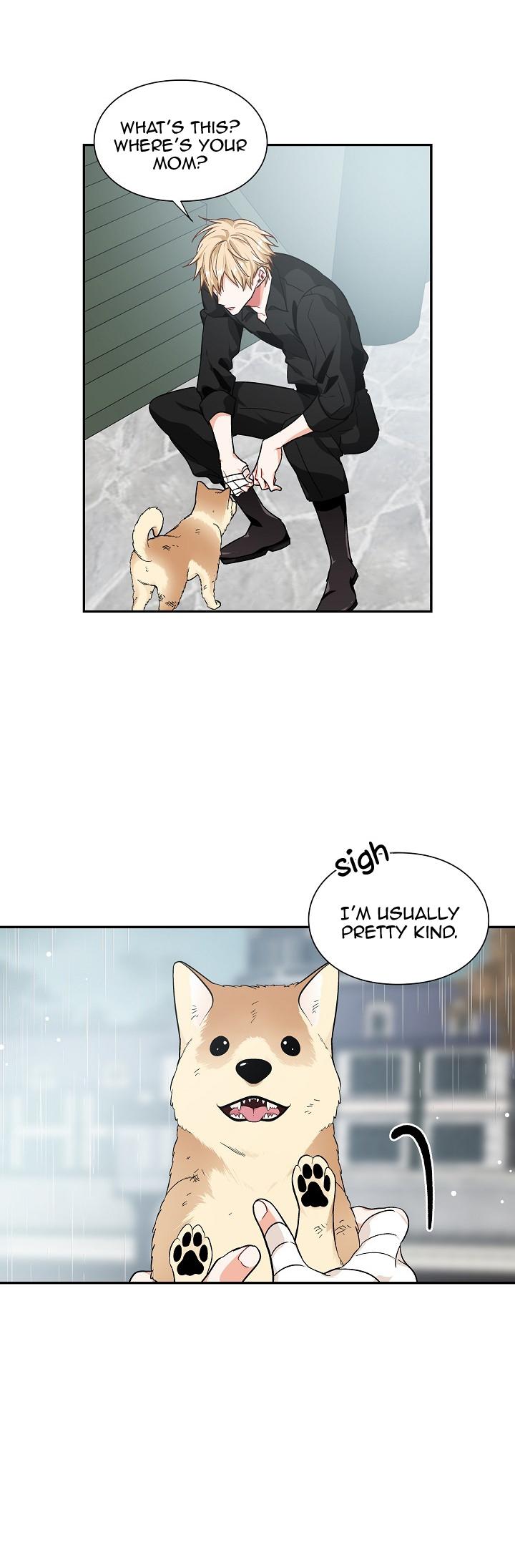 Queen with a Scalpel Chapter 103 page 19 - Chapter 103