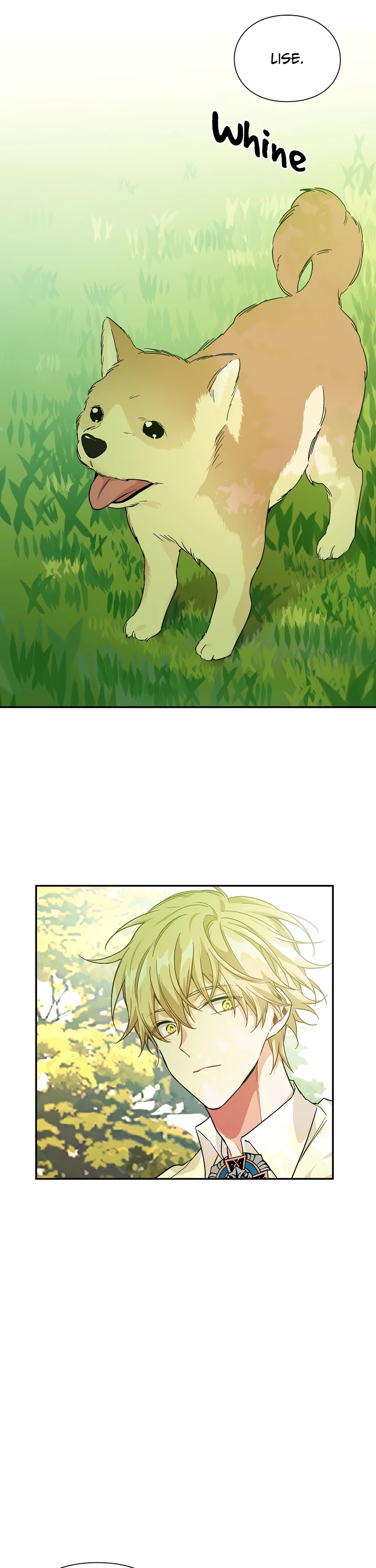 Queen with a Scalpel Chapter 120 page 19 - Chapter 120
