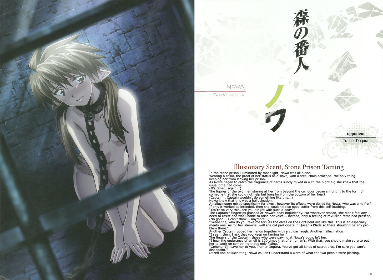 Queen's Blade - Vanquished Queens (Artbook) Chapter 1 page 17 - Chapter 1