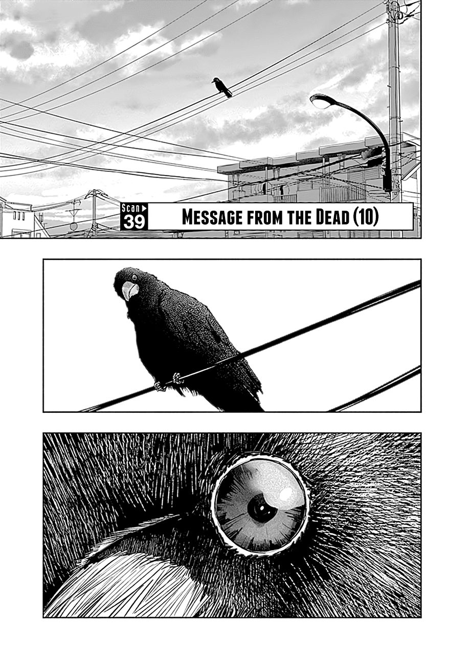 Radiation House Chapter 39 page 2 - Chapter 39: Message from the Dead (10)