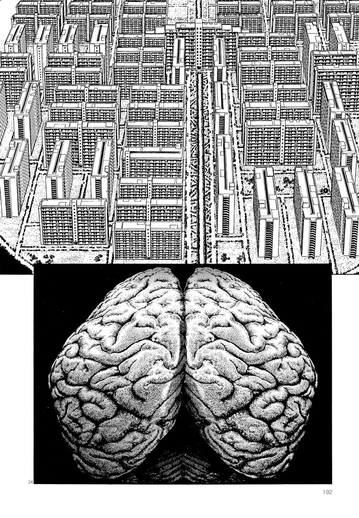 Rain Man Chapter 7 page 24 - Chapter 7: Right Brain and Left Brain