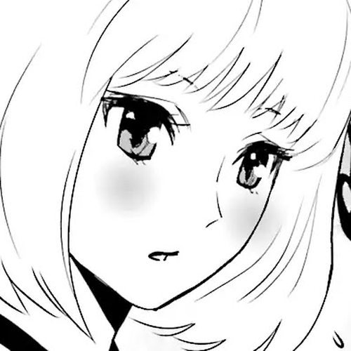 Raisekamika Chapter 11.5 cover