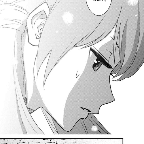 Raisekamika Chapter 13 cover