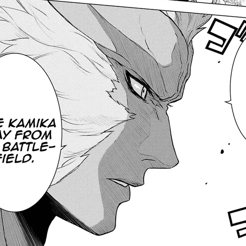Raisekamika Chapter 24 cover
