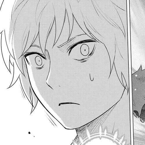 Raisekamika Chapter 27 cover