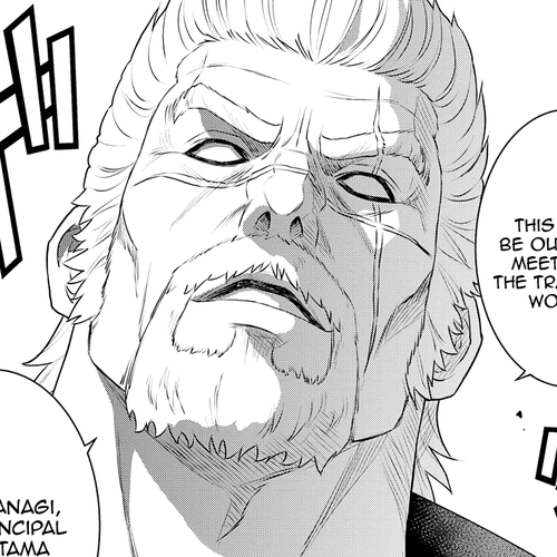 Raisekamika Chapter 28 cover